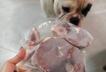 狗狗的饮食乐园——了解狗狗可食用的食物（宠物狗应该吃什么？带你了解狗狗适宜的食物类型和食材）