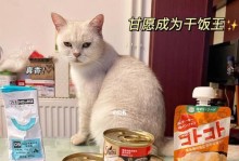 宠物小猫罐头饮食详解（一只小猫能吃多少罐头？罐头饮食的优缺点）