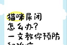 猫咪膀胱破裂的原因及治疗预防（了解猫咪膀胱破裂的危险，预防与治疗关键）
