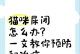 猫咪膀胱破裂的原因及治疗预防（了解猫咪膀胱破裂的危险，预防与治疗关键）