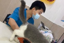 宠物养护必读——以猫咪看什么需要抽血化验吗？（了解猫咪健康状况的重要性与必要性）