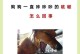 应对狗狗咳嗽的问题（教你如何帮助狗狗止咳）