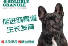 小狗持续呕吐该吃什么药？（为你的宠物找到适合的药物解决方案）