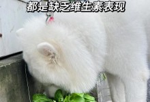 如何正确喂养2个月大的狗狗？（掌握狗粮量和应对狗狗不吃饭的方法）