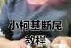 柯基断尾的最佳时机（保护柯基尾巴健康的关键时刻）