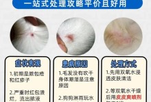 解决狗狗皮肤病的有效方法（了解狗狗皮肤病的症状及治疗方案）