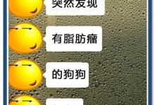 探究狗狗肥胖的原因与减肥方法（以宠物为主，让狗狗健康美丽的秘诀）