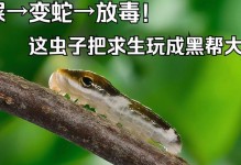 蛇身上的寄生虫（揭秘蛇体寄生虫）