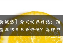 宠物犬感冒应对指南（了解犬感冒症状，防范和治疗方法一网打尽）