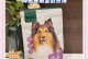 比熊价格及其在流行犬中的地位（了解比熊价格，探索其成为流行犬的原因）