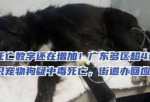 狗的必死食物（以狗吃什么会立即死亡为主题的食品安全指南）