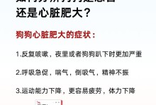 小泰迪感冒了多久会好？（探究小泰迪感冒康复的时间和方法）