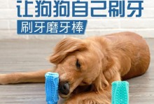 如何解决拉布拉多幼犬咬人问题（宠物爱好者必看，帮你打造乖巧可爱的拉布拉多宝宝）