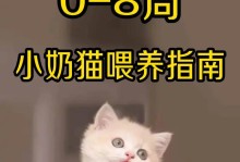 喂食幼猫的注意事项（如何正确喂养幼猫，让它健康成长）