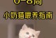 喂食幼猫的注意事项（如何正确喂养幼猫，让它健康成长）