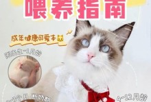 喂养刚断奶的小奶猫（宝贝小猫离开妈妈，如何正确喂养？）