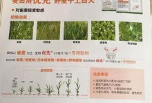 如何科学饲养黑喉草雀（全面了解黑喉草雀的饲养方法，让你的宠物健康成长）