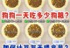 科学喂养宠物狗的关键原则（狗狗饮食规律与判断饱食的方法）