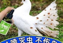 预防秋田犬身上长虱子，（宠物养护必看，15个小贴士教你轻松预防秋田犬身上长虱子）