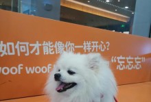 泰迪剃光毛注意事项（如何正确剃光泰迪毛发）