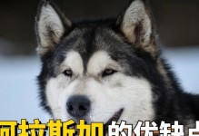 阿拉斯加——美丽而艰苦的养殖之地（探索阿拉斯加养殖的挑战与困境）