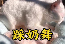 狗狗为什么会踩奶？（解析狗狗踩奶的原因和意义）