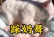 狗狗为什么会踩奶？（解析狗狗踩奶的原因和意义）