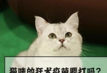 打疫苗的正确时间——了解宠物小猫多大可以接种疫苗（重要的预防措施，小猫的免疫计划与注意事项）