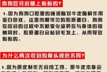 泰迪咬合不好的原因及解决办法（探究泰迪咬合问题的根源，帮助泰迪恢复正常咬合能力）