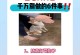 如何判断狗狗是否怀孕？准备和注意事项（详解以铲屎官如何判断狗狗是否怀孕，以及相关准备和注意事项）