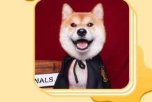 柴犬的多彩世界（探索不同颜色柴犬的魅力和市场行情）
