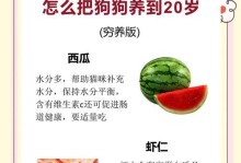 狗狗的寿命（29岁的狗狗，寿命或超出想象的奥秘）
