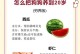 狗狗的寿命（29岁的狗狗，寿命或超出想象的奥秘）