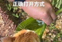 以伊犁鼠兔为宠物的饲养方法（让你成为贴心的宠物主人）