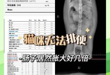 小猫的排泄习惯（了解小猫的排泄频率和行为习惯）