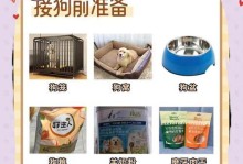 拉布拉多配种指南（关于拉布拉多配种的注意事项和建议）