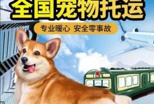 探索宠物运输物流的创新与发展（解析宠物运输物流市场的现状和未来趋势）