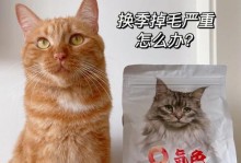 如何减少猫咪毛粗糙掉毛问题（宠物主人必看的有效减毛指南）