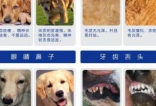 鹿犬——你的忠诚伴侣（了解鹿犬的特点和最适合它们的狗粮选择）