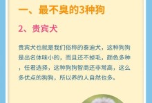 为什么哈士奇身上很臭？（探究哈士奇身上散发出的恶臭原因以及解决办法）