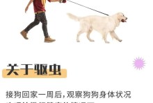 狗狗疫苗与驱虫时间表（宠物狗狗养护必知，健康从小开始）