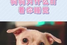 小狗睡觉时的头部姿势与原因