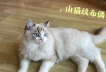 双色瞳猫咪价格分析——宠物市场的热门选择（探究双色猫咪价格的背后及市场趋势）