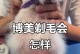 博美毛剃后多久会长出来？-揭秘博美长毛周期（解答你对博美毛剃长出的时间疑问，了解博美长毛周期的关键）