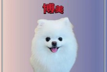 挑选经济实惠的小型犬（小型犬掉毛少，经济实惠好养活，选对它们就对了！）