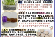 如何帮助猫咪正常吐毛（5种方法保证猫咪顺利吐毛，让毛发更健康）