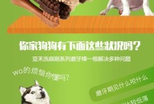 狗狗磨牙期（了解狗狗的磨牙期，让它健康快乐成长）