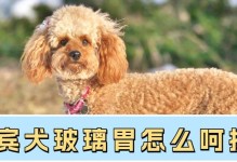 干粮还是湿粮？探究狗狗最佳饮食选择（干粮与湿粮的优缺点比较，帮助主人做出明智选择）