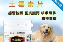 猫咪肠胃炎拉肚子应该吃什么药？（解决猫咪肠胃问题的有效方法）