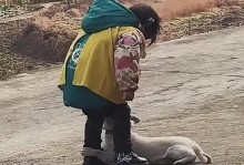 狗狗“抱大腿”不一定就是耍流氓（别错怪它了，它只是想要关注和爱）